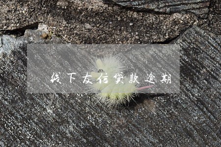 线下友信贷款逾期 线下友信贷款逾期