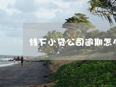 线下小贷公司逾期怎么办 线下小贷公司逾期怎么办
