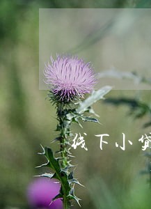 线下小贷逾期上门吗 线下小贷逾期上门吗