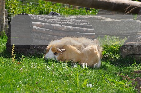 线下小贷逾期了 线下小贷逾期了
