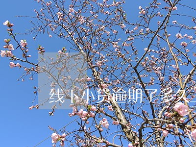 线下小贷逾期了多久上门 线下小贷逾期了多久上门