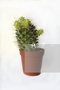 线下小贷逾期半年怎么办
