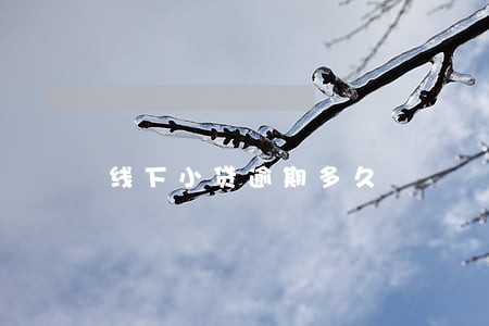 线下小贷逾期多久 线下小贷逾期多久