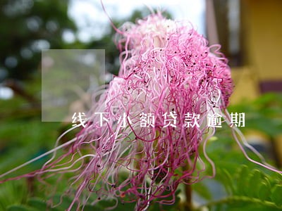 线下小额贷款逾期 线下小额贷款逾期