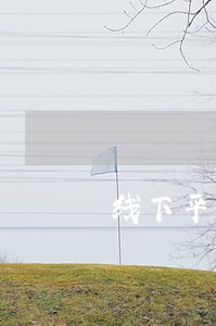线下平台贷款逾期了怎么办 线下平台贷款逾期了怎么办