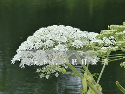 线下房产抵押逾期 线下房产抵押逾期