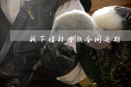 线下理财借款合同逾期 线下理财借款合同逾期