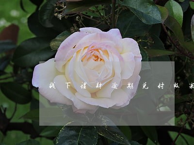 线下理财逾期兑付报案不受理