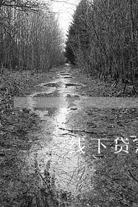 线下贷款有逾期能办吗 线下贷款有逾期能办吗