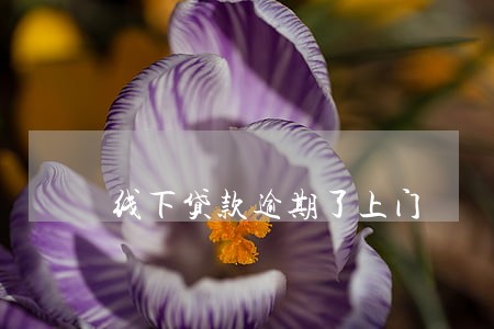 线下贷款逾期了上门