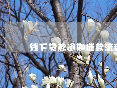 线下贷款逾期催款流程是什么 线下贷款逾期催款流程是什么