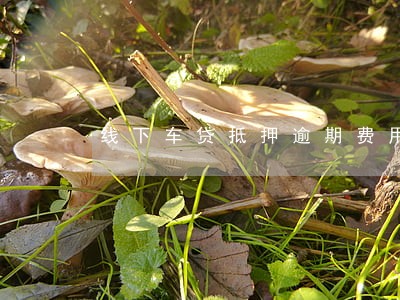 线下车贷抵押逾期费用 线下车贷抵押逾期费用