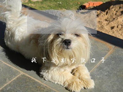 线下逾期贷款口子 线下逾期贷款口子