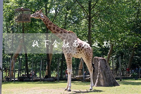 线下金融面签逾期 线下金融面签逾期