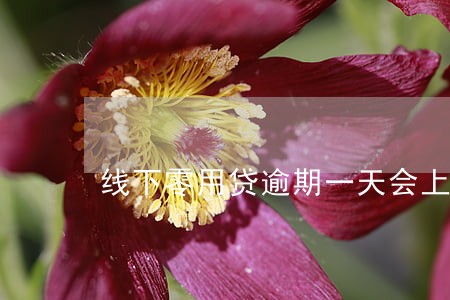 线下零用贷逾期一天会上门吗 线下零用贷逾期一天会上门吗