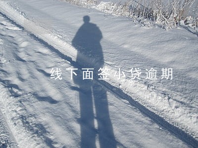 线下面签小贷逾期 线下面签小贷逾期