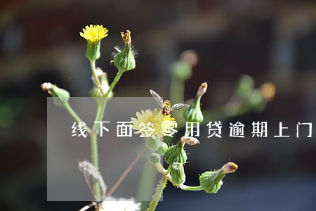线下面签零用贷逾期上门 线下面签零用贷逾期上门