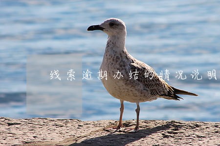 线索逾期办结的情况说明 线索逾期办结的情况说明