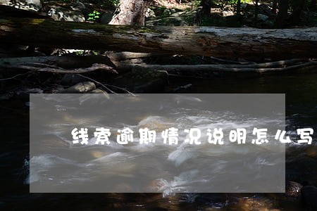 线索逾期情况说明怎么写