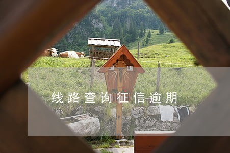 线路查询征信逾期 线路查询征信逾期