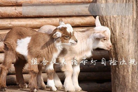 组合仪表指示灯自检法规 组合仪表指示灯自检法规