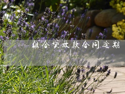 组合贷放款合同逾期 组合贷放款合同逾期
