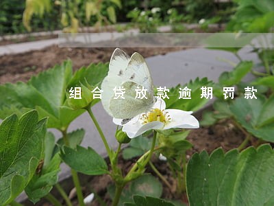 组合贷放款逾期罚款 组合贷放款逾期罚款