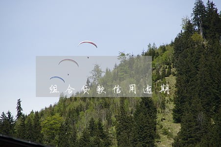 组合贷款信用逾期 组合贷款信用逾期