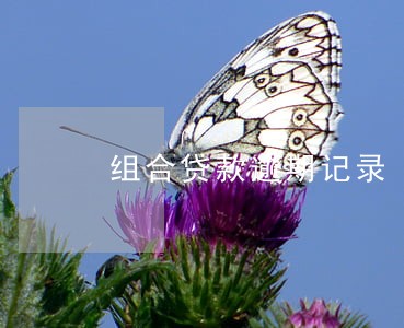 组合贷款逾期记录 组合贷款逾期记录