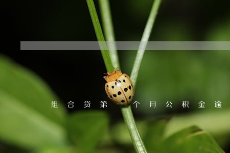 组合贷第一个月公积金逾期 组合贷第一个月公积金逾期