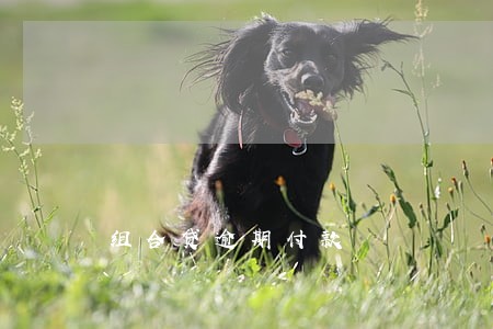 组合贷逾期付款 组合贷逾期付款