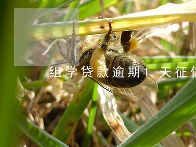 组学贷款逾期1天征信会显示吗 组学贷款逾期1天征信会显示吗