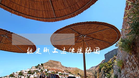 组建职工法律援助团 组建职工法律援助团
