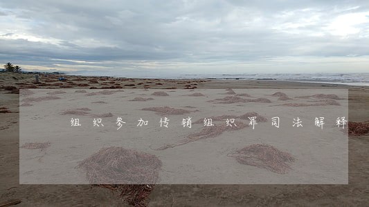 组织参加传销组织罪司法解释 组织参加传销组织罪司法解释