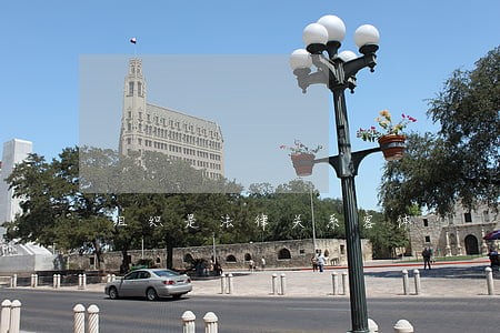 组织是法律关系客体 组织是法律关系客体
