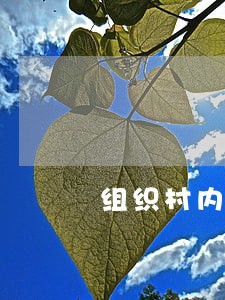 组织村内妇女违法活动 组织村内妇女违法活动
