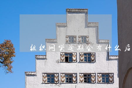 组织网贷逾期会有什么后果 组织网贷逾期会有什么后果