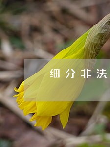 细分非法转让采矿权案违法责任 细分非法转让采矿权案违法责任