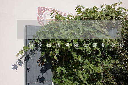 细化举措保障律师执业权利 细化举措保障律师执业权利