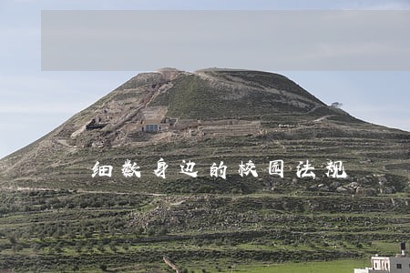 细数身边的校园法规 细数身边的校园法规
