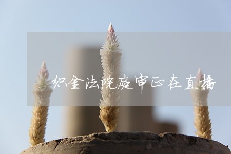 织金法院庭审正在直播 织金法院庭审正在直播