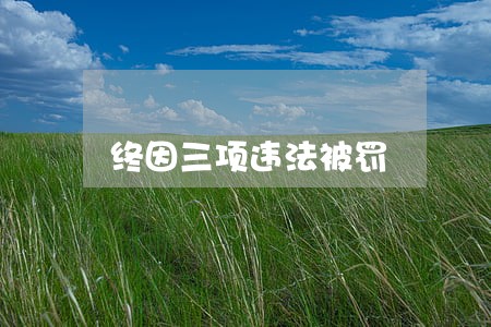 终因三项违法被罚 终因三项违法被罚