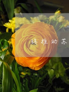 终推动苏州古城墙保护立法 终推动苏州古城墙保护立法