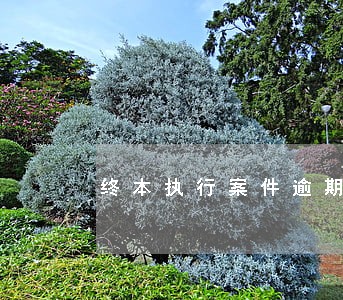终本执行案件逾期利息 终本执行案件逾期利息