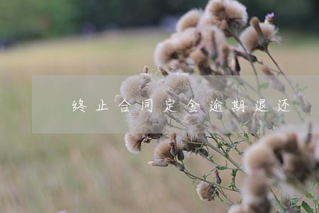 终止合同定金逾期退还