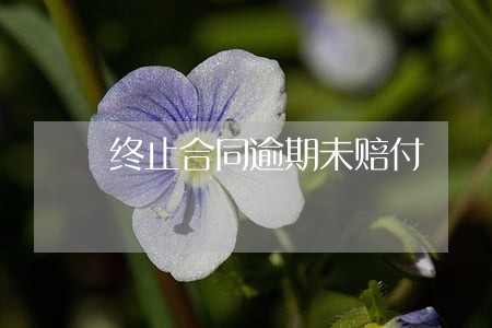 终止合同逾期未赔付 终止合同逾期未赔付