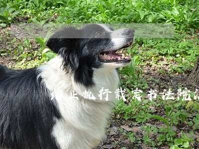 终止执行载定书法院没给怎么办 终止执行载定书法院没给怎么办
