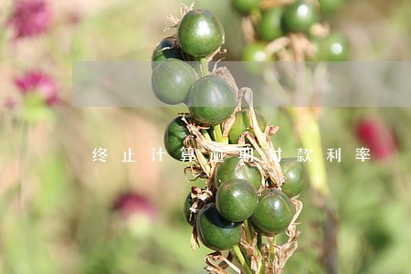 终止计算逾期付款利率