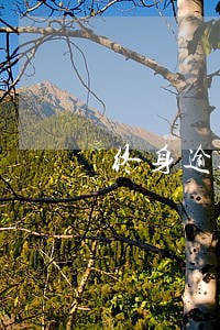 终身逾期怎么补救 终身逾期怎么补救