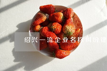 绍兴一流企业名称纠纷律师 绍兴一流企业名称纠纷律师